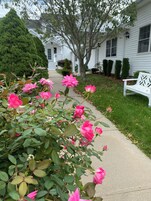 Cortinas blackout y sistema de insonorización 