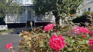 A white house with a balcony and a tree in the foreground. - The Taber Inne & Suites (Mystic)