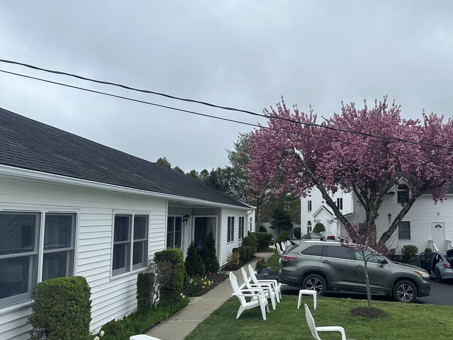 Standard Double Room, 2 Double Beds