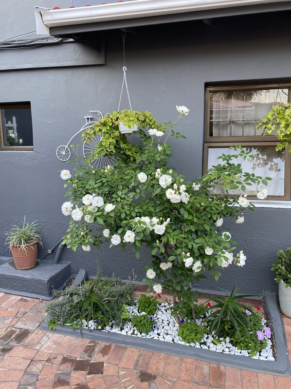 Fachada da propriedade