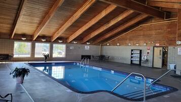 Una piscina interior con techo de madera, paredes con azulejos y vista despejada al exterior.