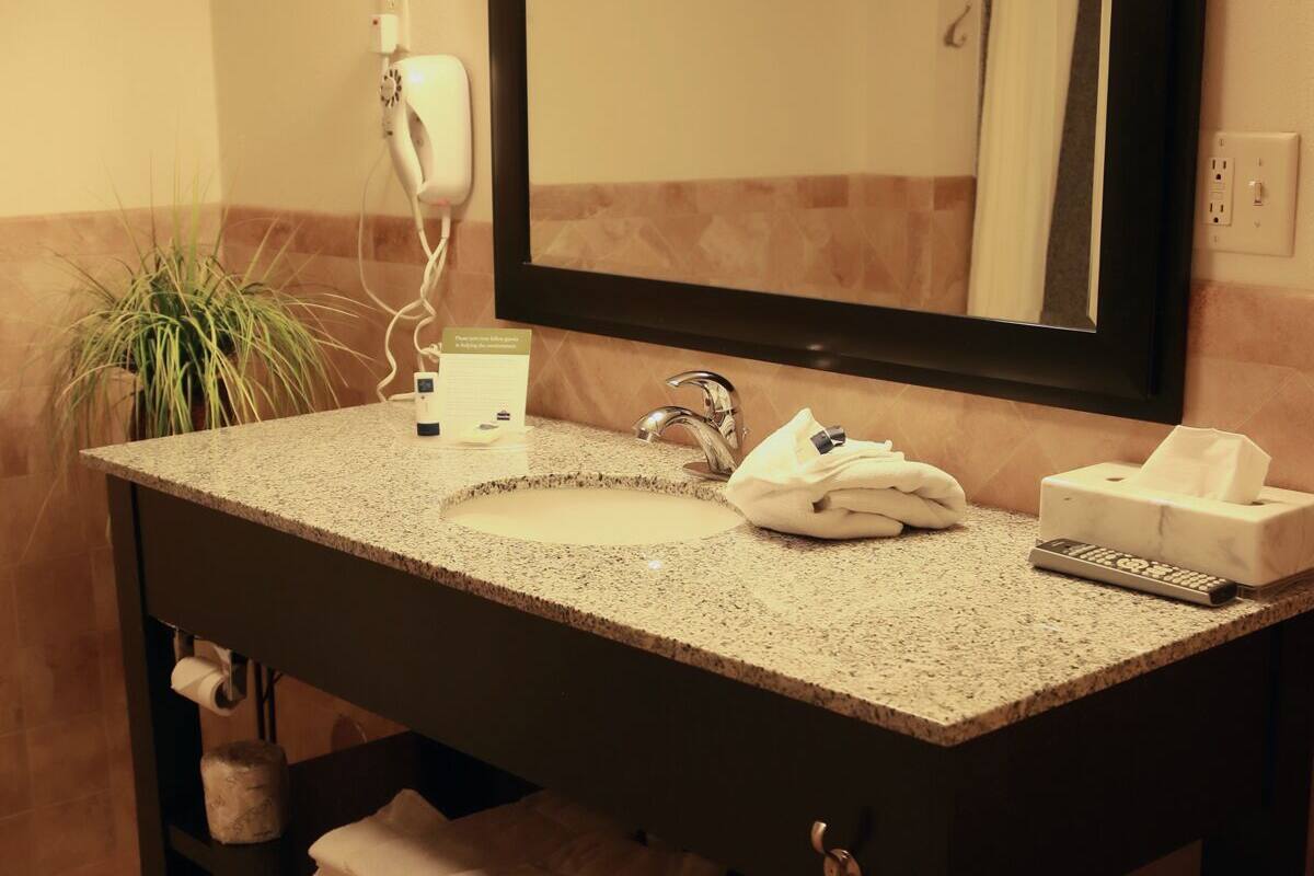 combined shower/bathtub, free toiletries, hair dryer, towels