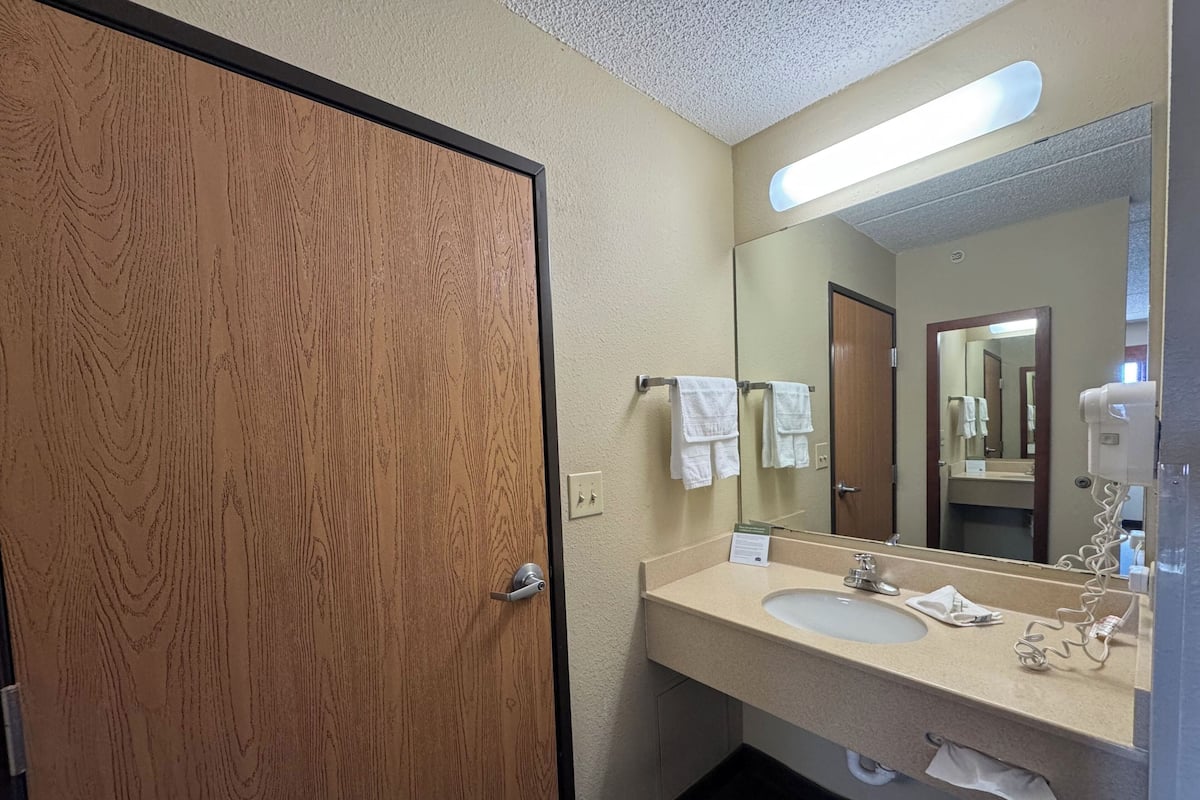 A hotel bathroom with a wooden door, a sink, a mirror, and a hairdryer.