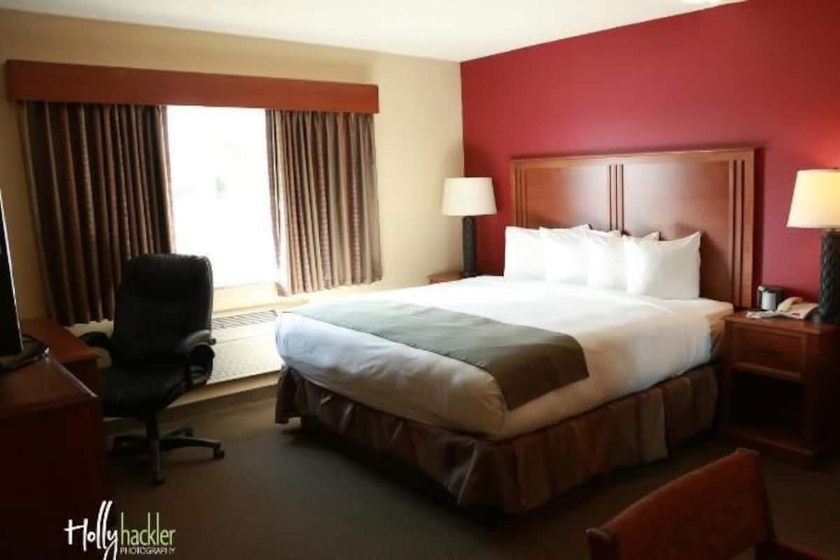 Ropa de cama de alta calidad y camas con pillow-top