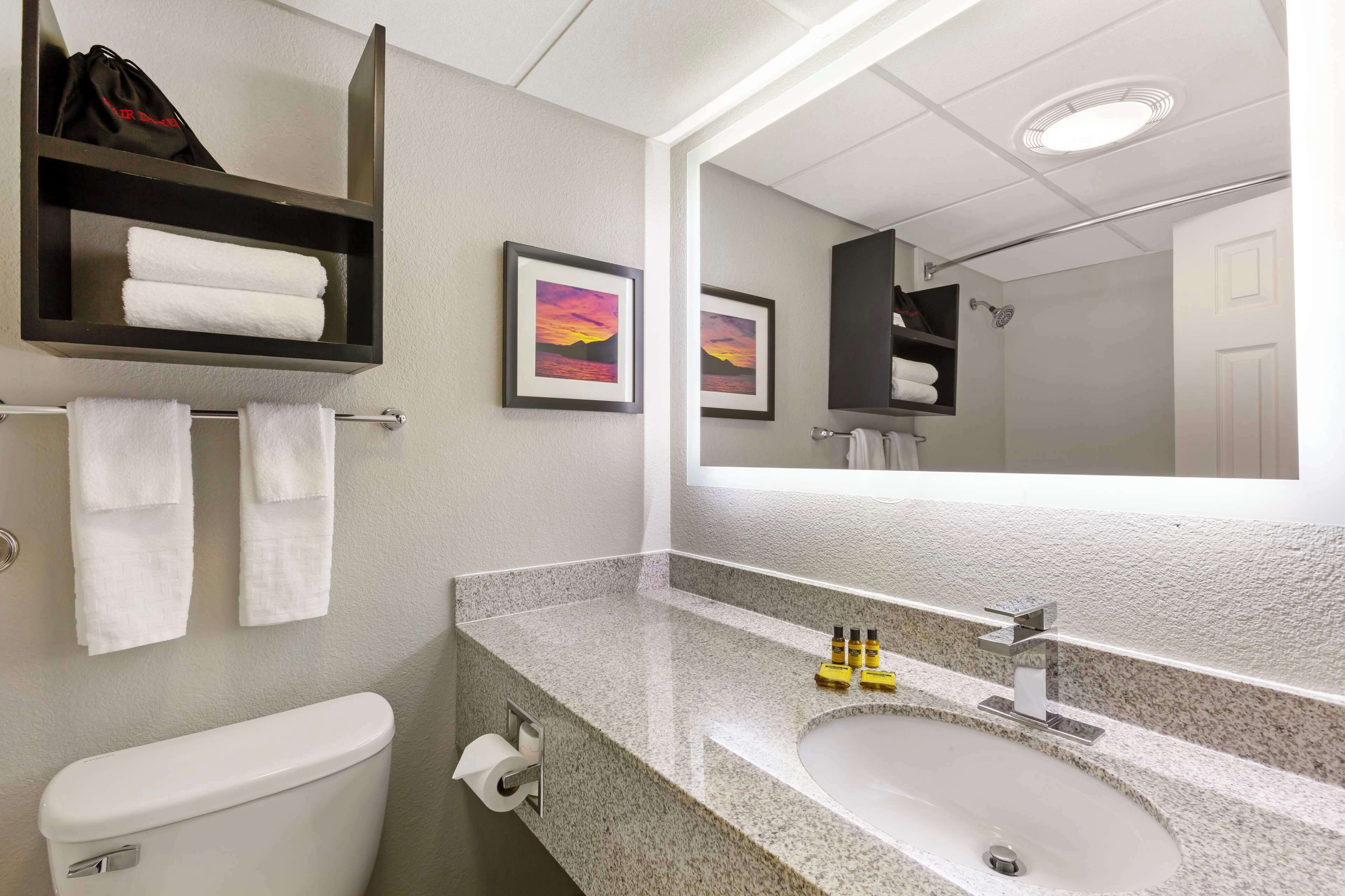 combined shower/bathtub, free toiletries, hair dryer, towels