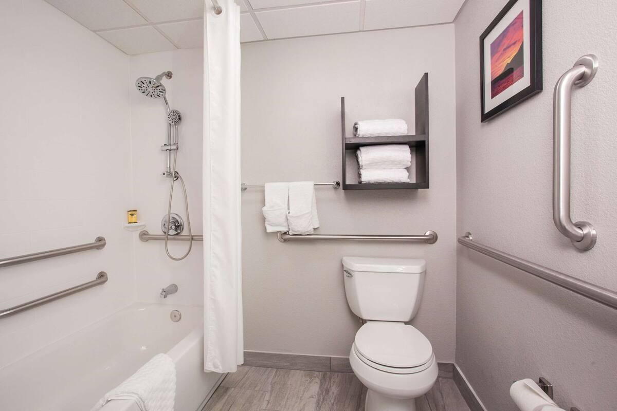 Bathroom | Combined shower/tub, free toiletries, hair dryer, towels