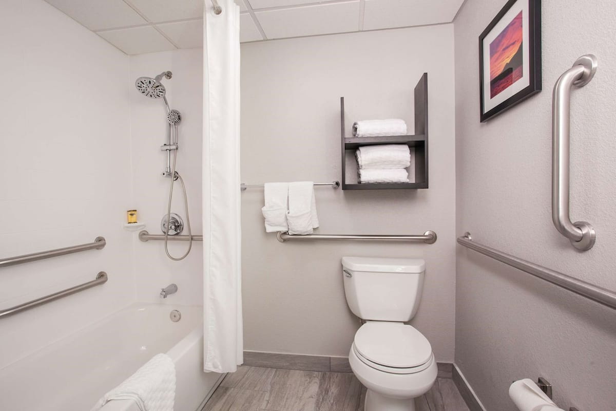 Bathroom | Combined shower/tub, free toiletries, hair dryer, towels