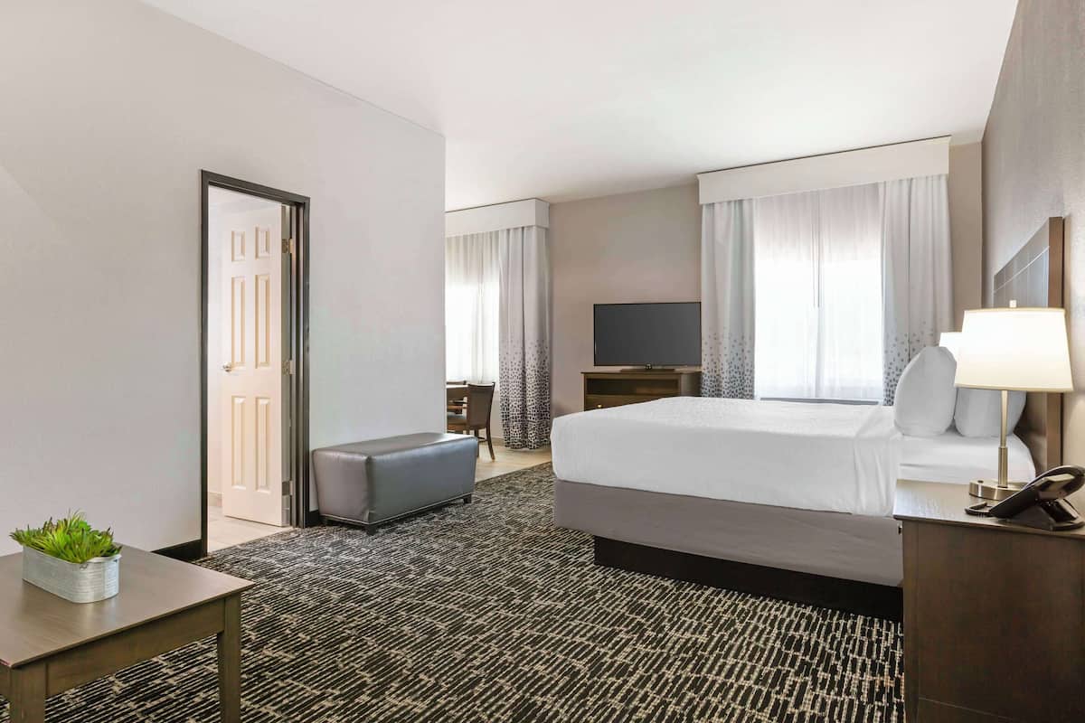 Ein Hotelzimmer mit Bett, Schreibtisch, Stuhl, Fernseher, Lampe und einer Pflanze.