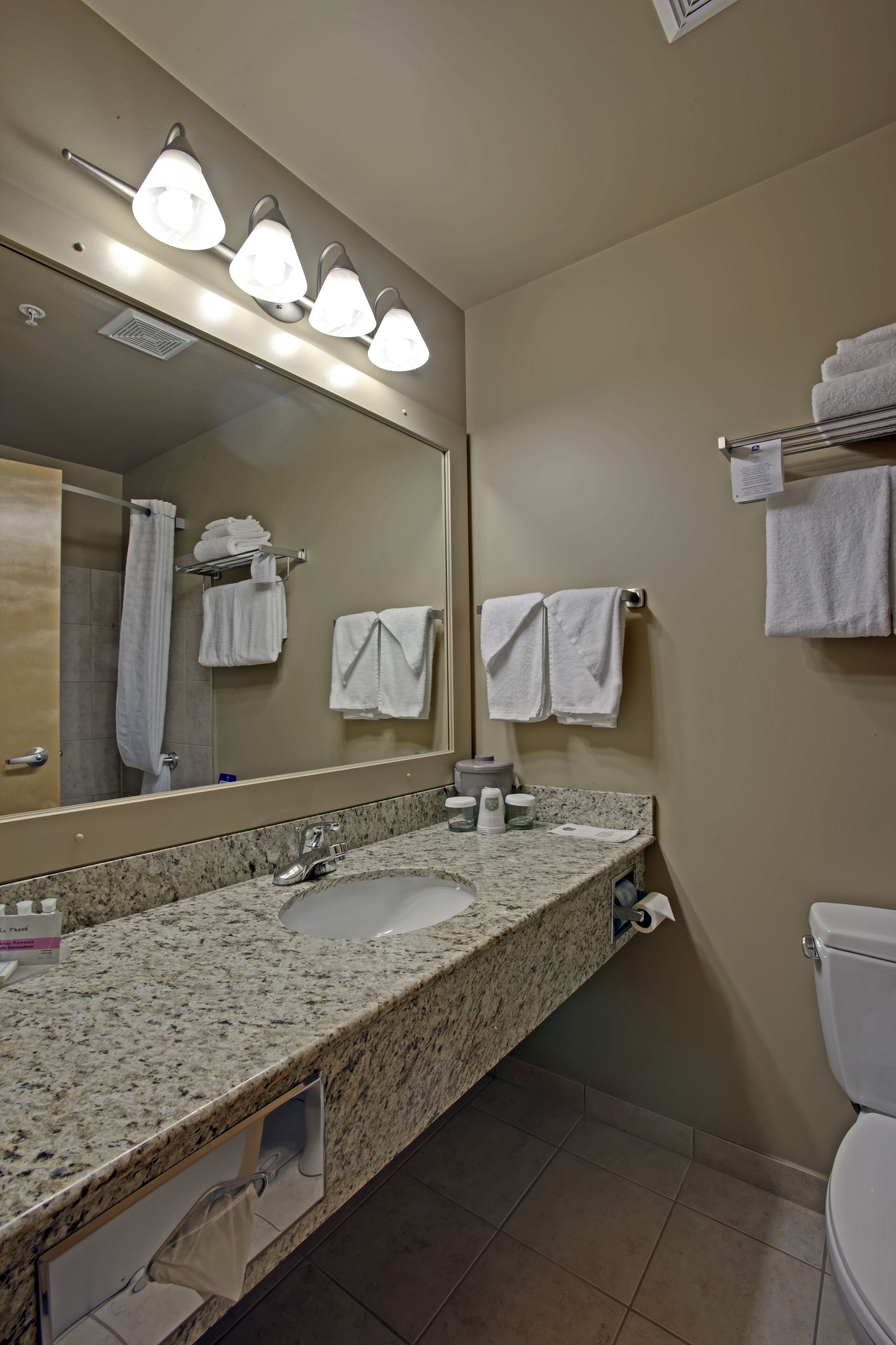 combined shower/bathtub, free toiletries, hair dryer, towels