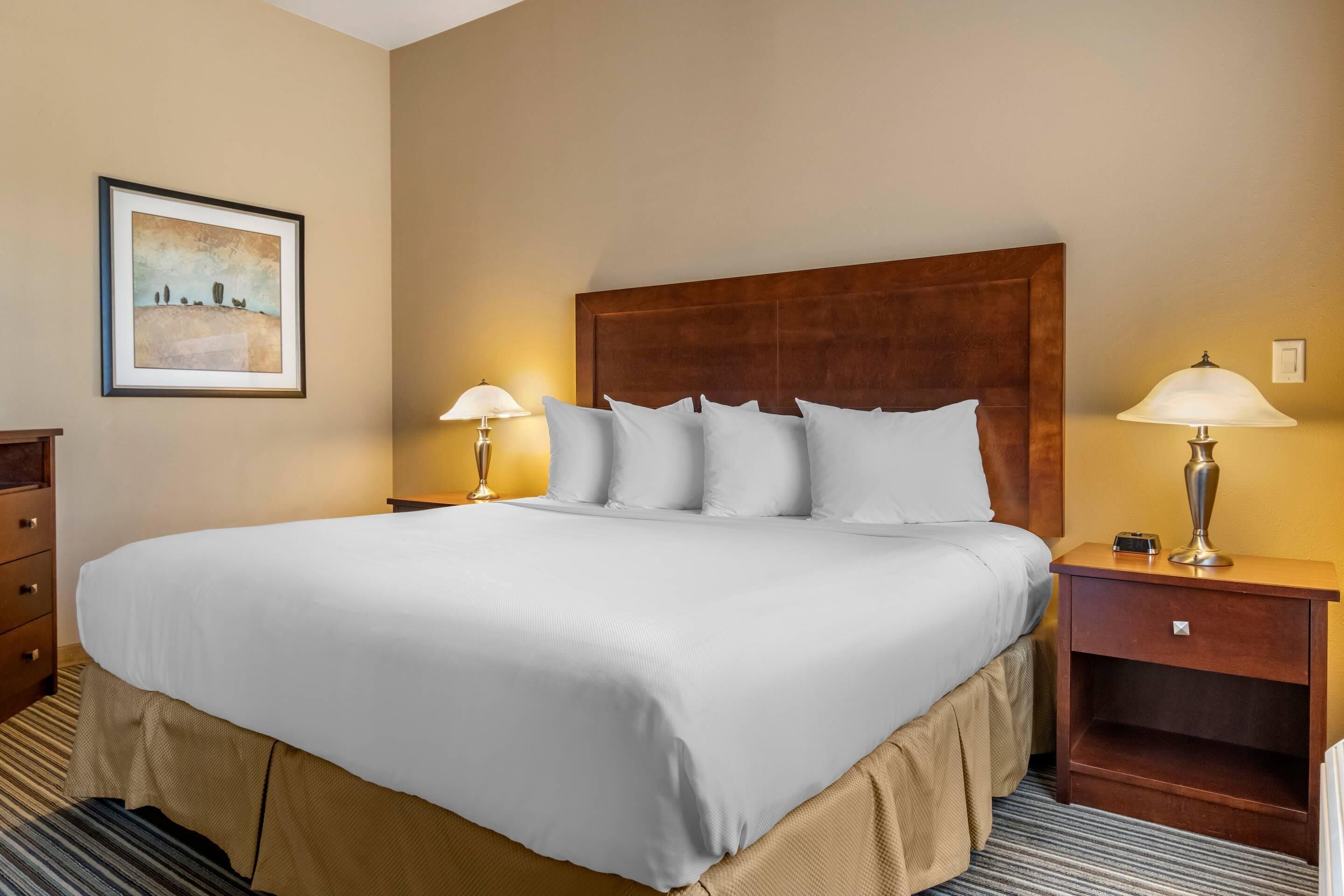 Una habitación de hotel con una cama grande, dos lámparas de noche, una mesita de noche y un cuadro en la pared.