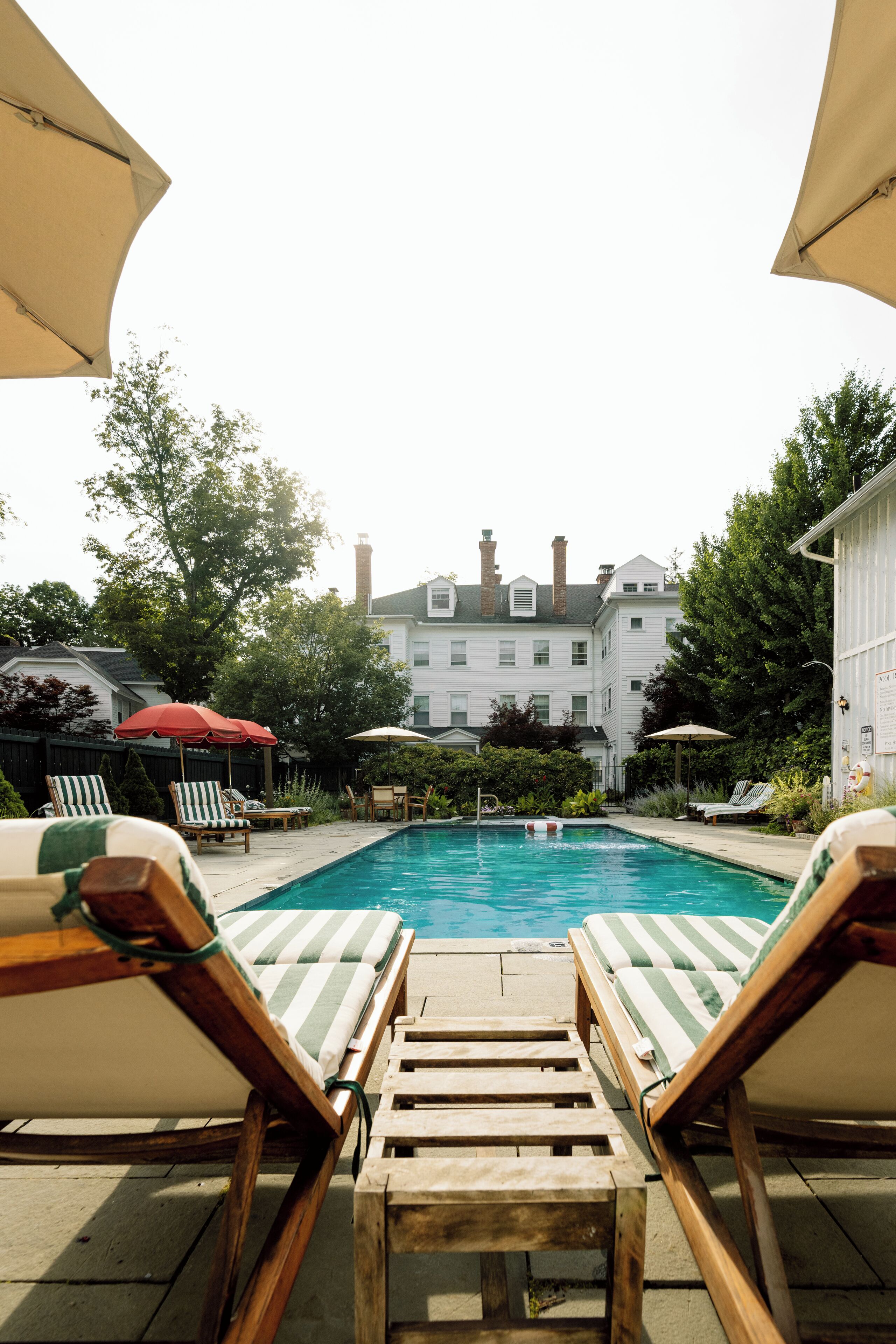 outdoor pool, pool loungers
