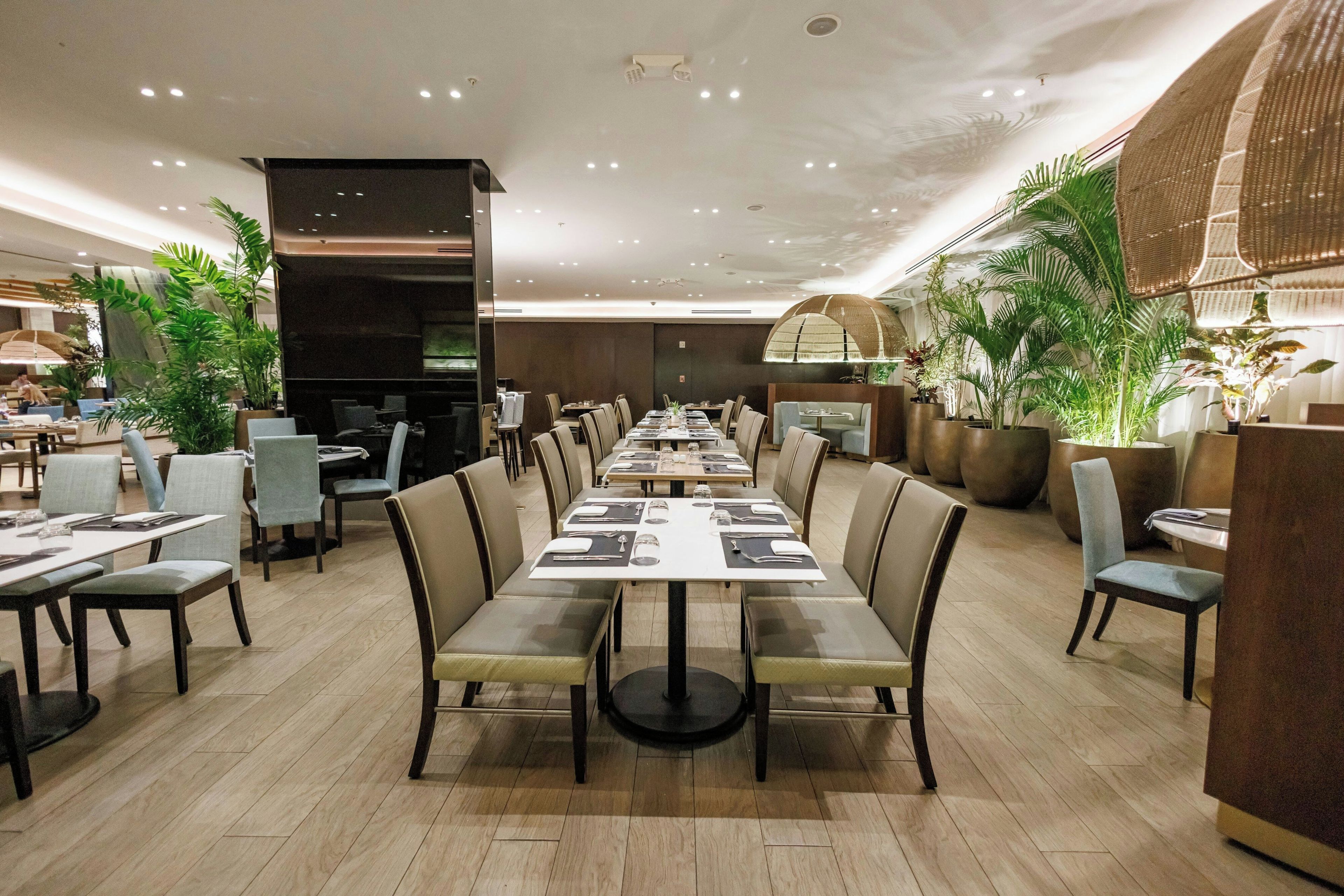 Ein geräumiges Restaurant mit mehreren Tischen und Stühlen, einer hohen Decke mit eingelassener Beleuchtung und Topfpflanzen.