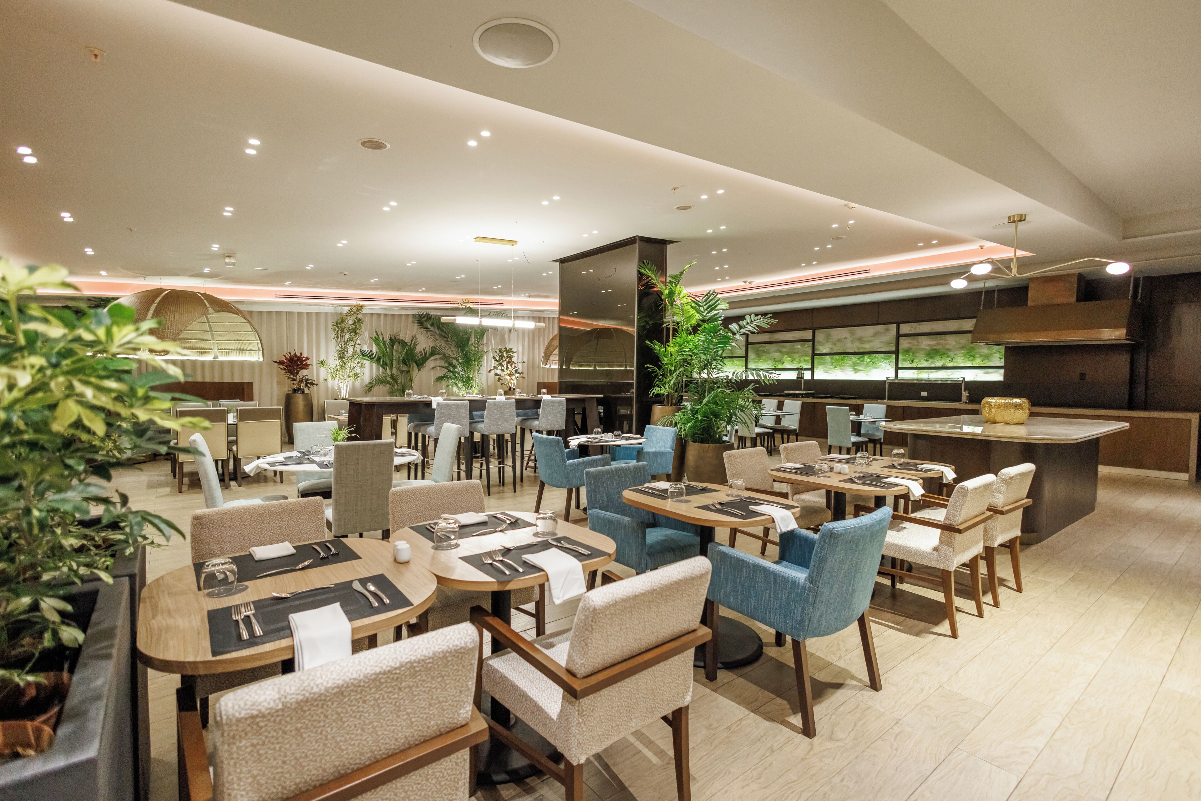 A modern restaurant with round tables, blue chairs, and potted plants.