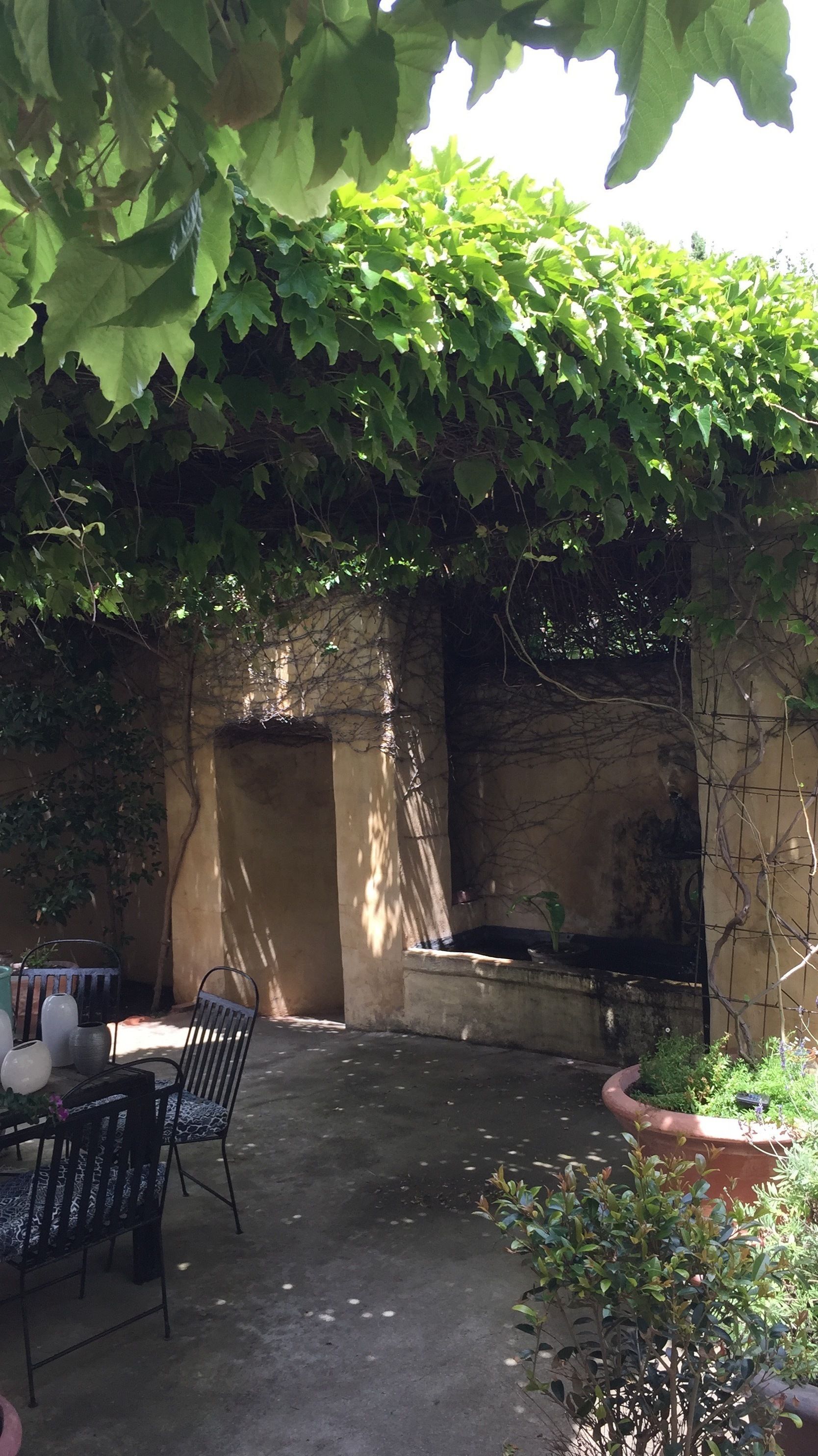 A patio area with a table and chairs, a concrete floor, and a wall with climbing plants.
