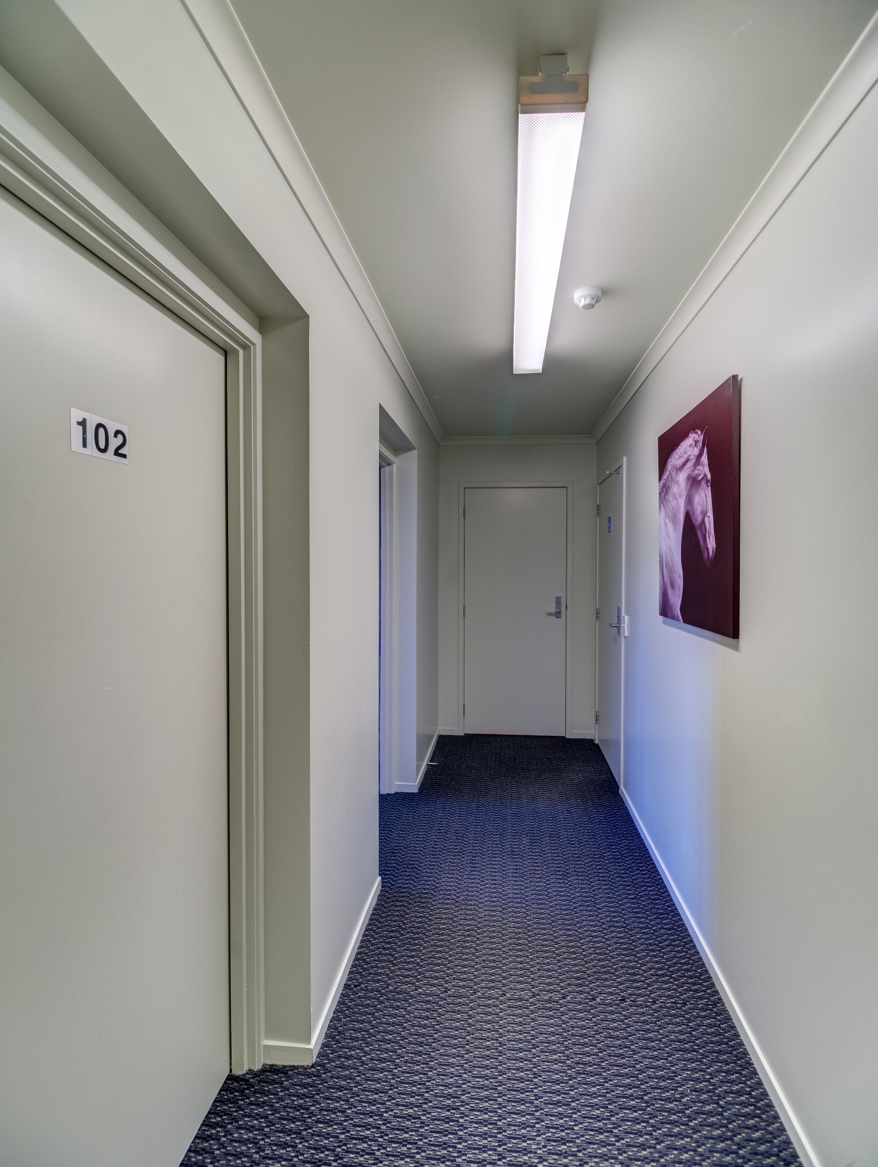 Een hotelgang met een tapijtvloer, een plafondlamp en een deur met het nummer 102.