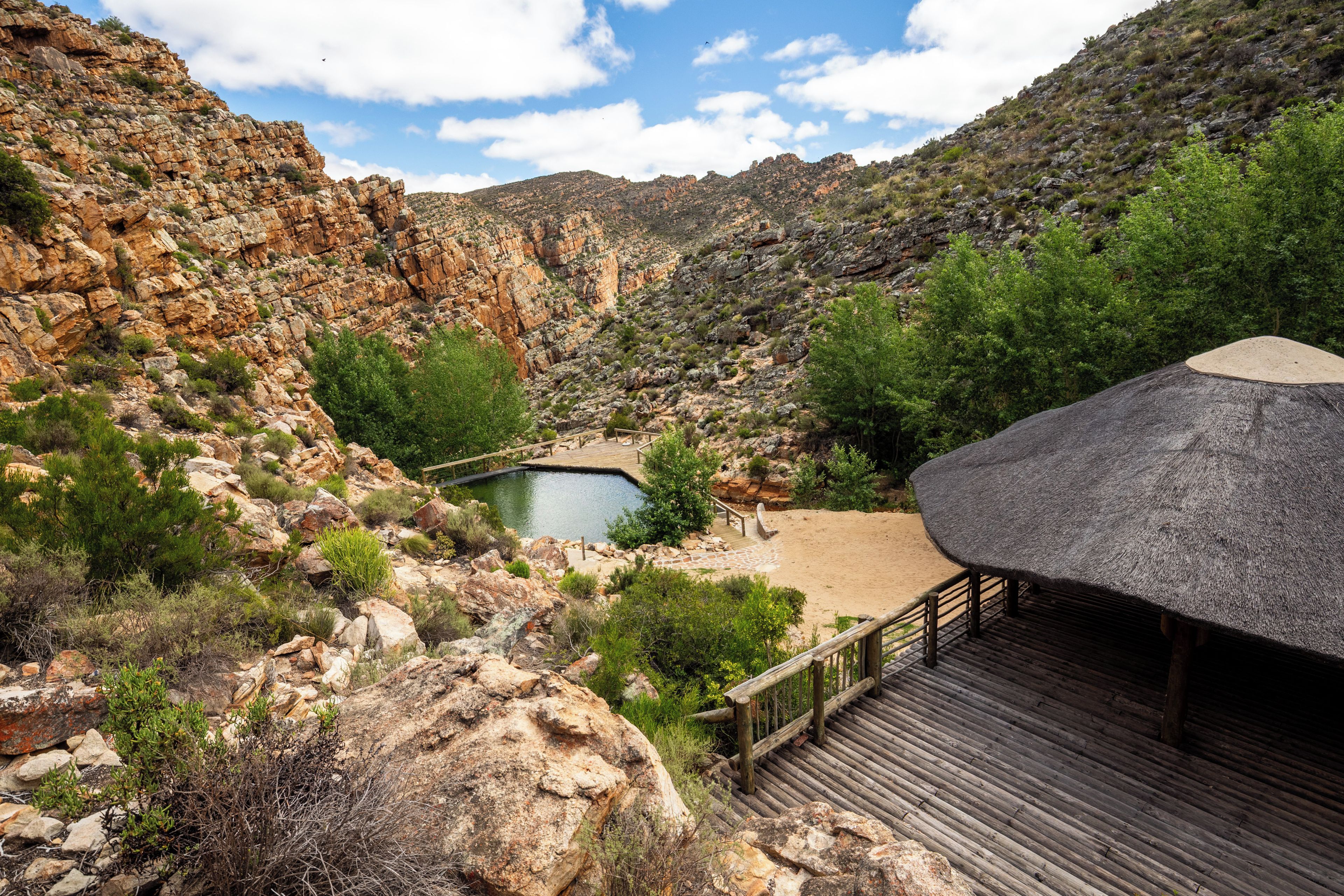Natural pool