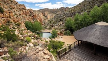 Natural pool