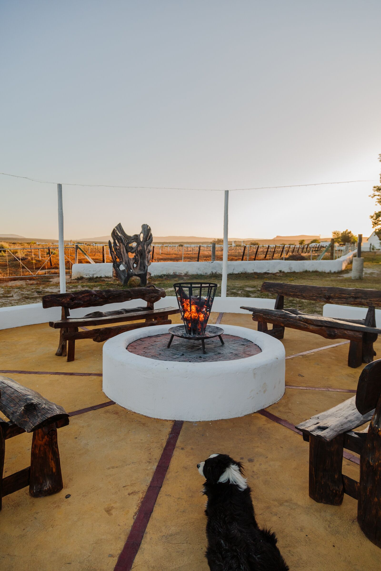 An outdoor seating area with a circular fire pit, wooden benches, and a dog.