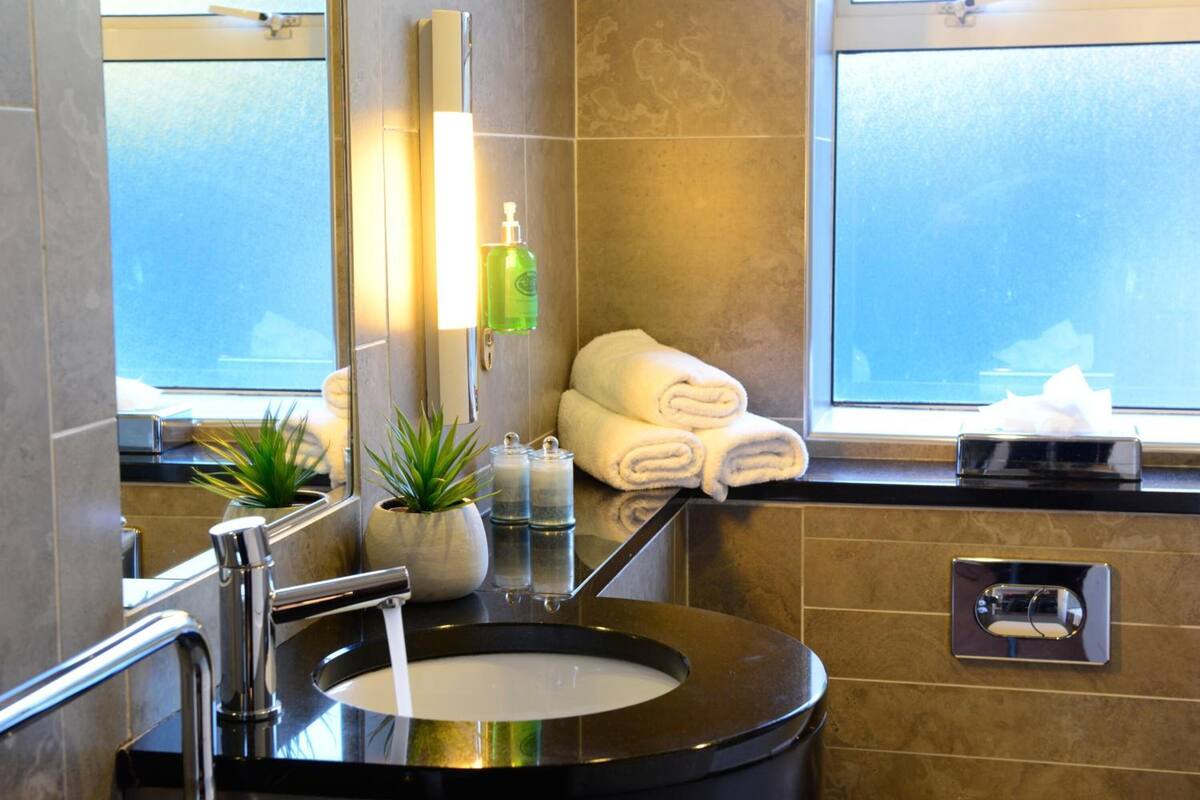 combined shower/bathtub, free toiletries, hair dryer, towels