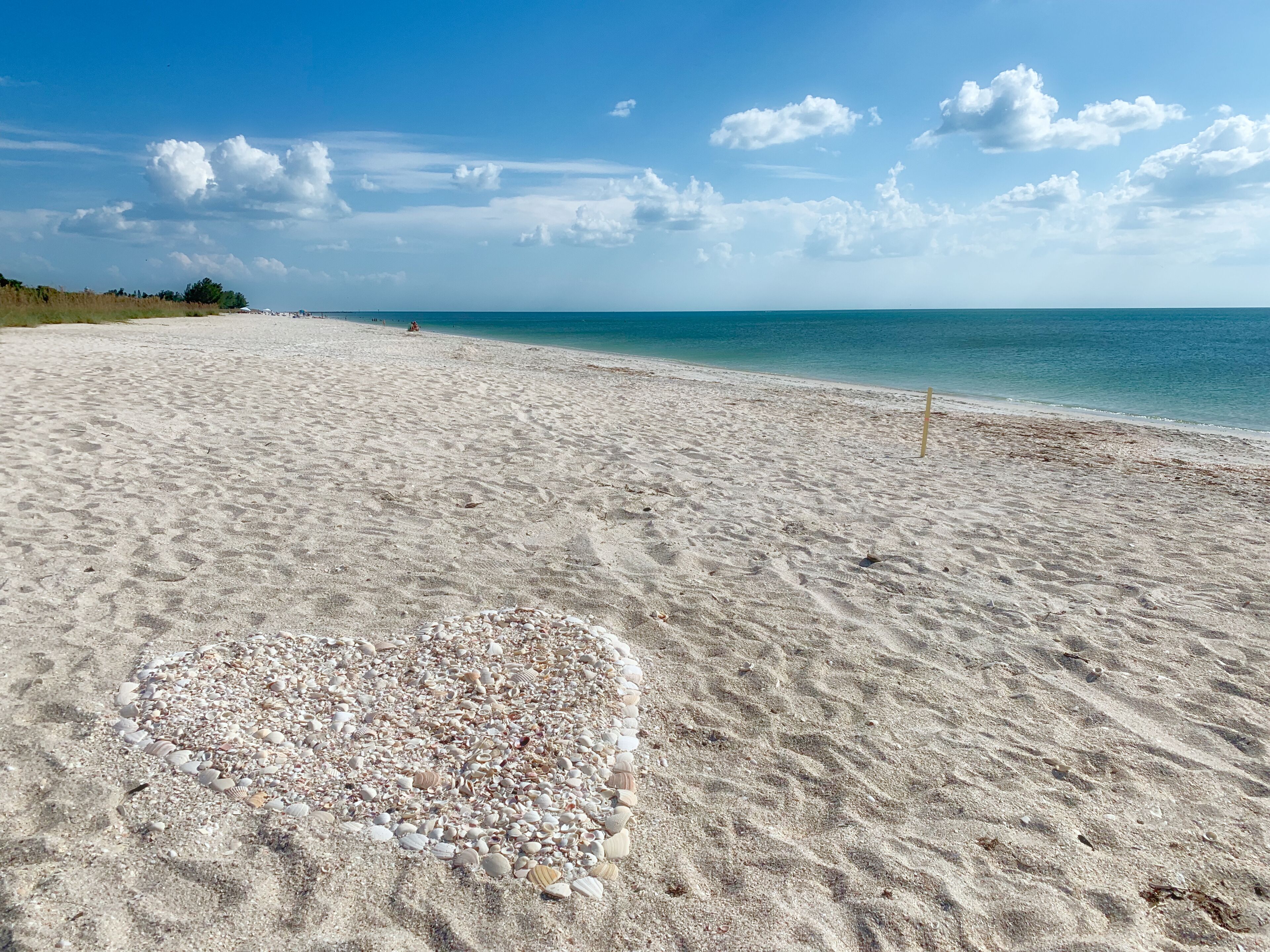 A beach with a heart-shaped arrangement of seashells on the sand.