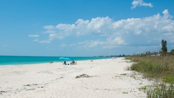 Beach Front Room, 1 Queen Bed | Vista dalla struttura