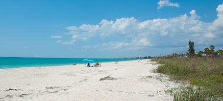 Beach Front Room, 1 Queen Bed | View from property
