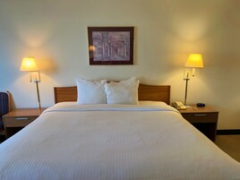 Cortinas blackout, tabla de planchar con plancha y wifi gratis 