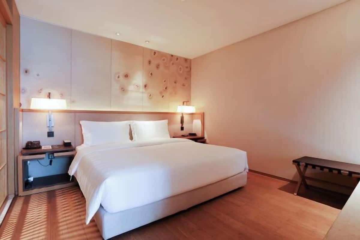 Donsdekens, Tempur Pedic-bedden, een gratis minibar