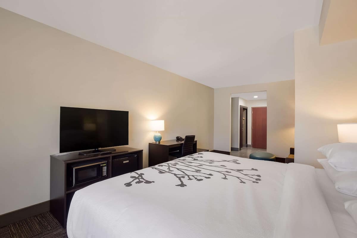 Una habitación de hotel con una cama grande, un televisor de pantalla plana, un escritorio con lámpara y un espejo.