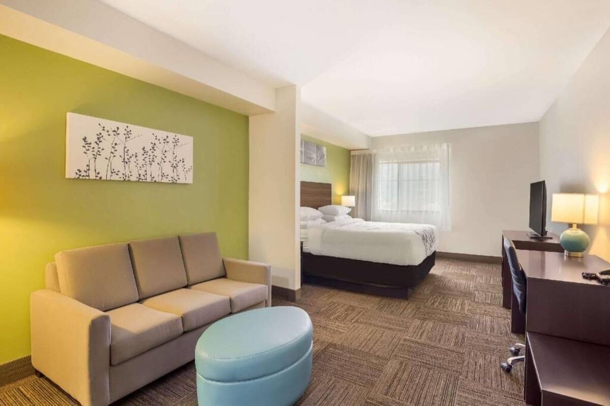 Una habitación de hotel con cama, sofá, escritorio y un cuadro en la pared.