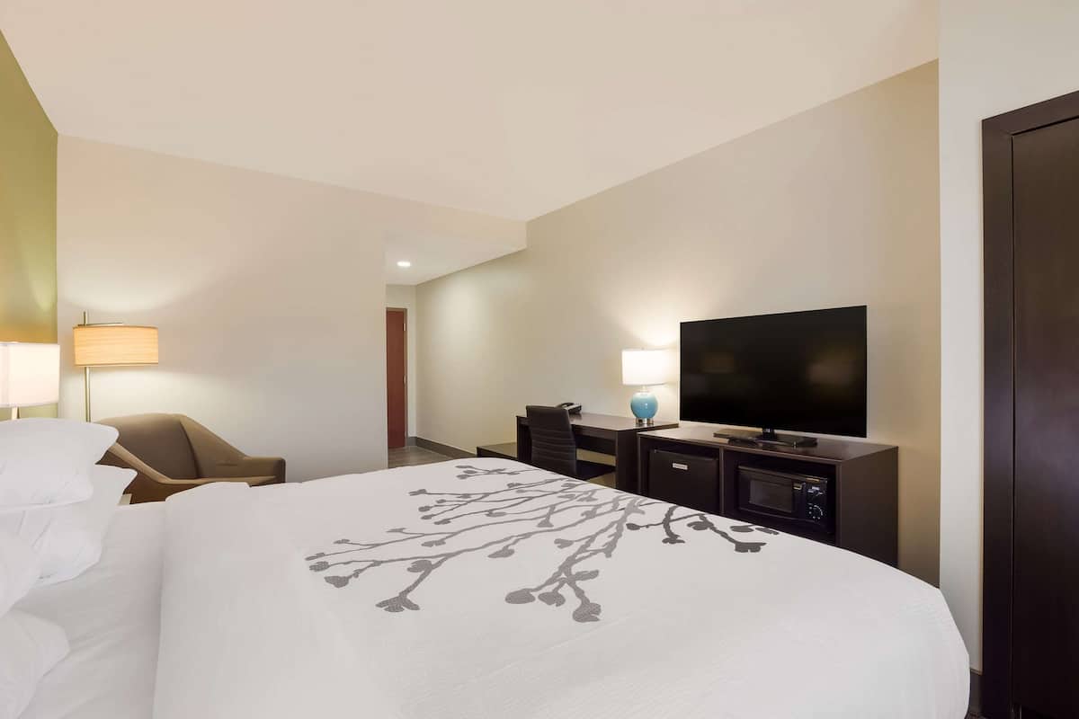 Una habitación de hotel con una cama grande, televisión, escritorio con lámpara y una silla.