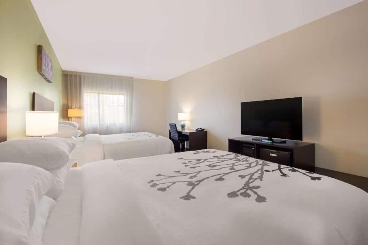 Habitación de hotel con dos camas, televisor, escritorio y lámpara.