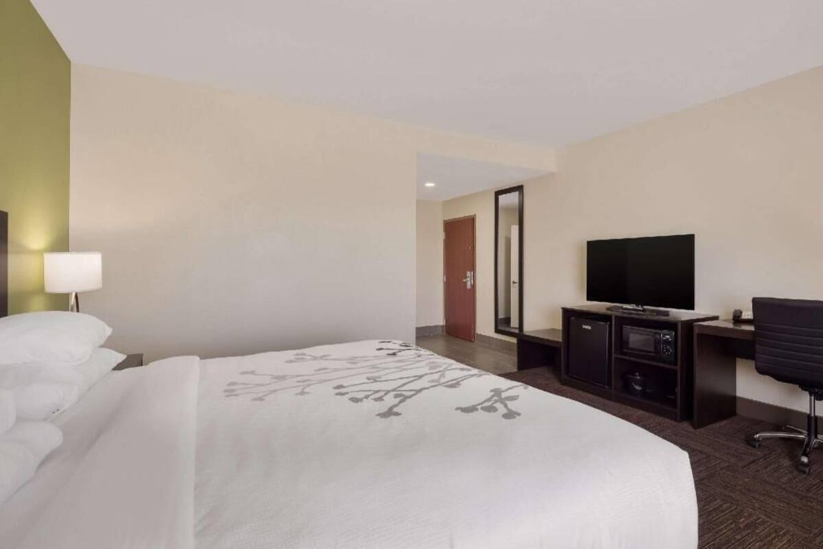 Habitación de hotel con cama, escritorio, televisor de pantalla plana, una silla y un espejo.