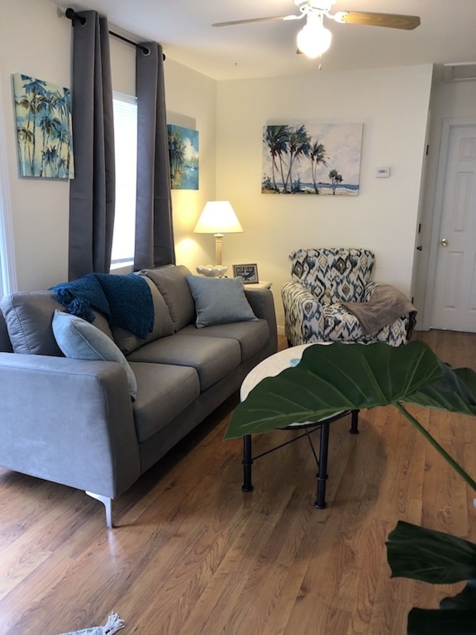 A living room with a grey sofa, patterned armchair, and a large green plant.