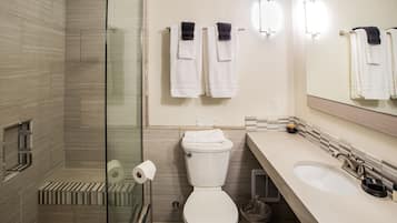 A modern bathroom with a glass shower enclosure, a toilet, a sink, and a mirror.