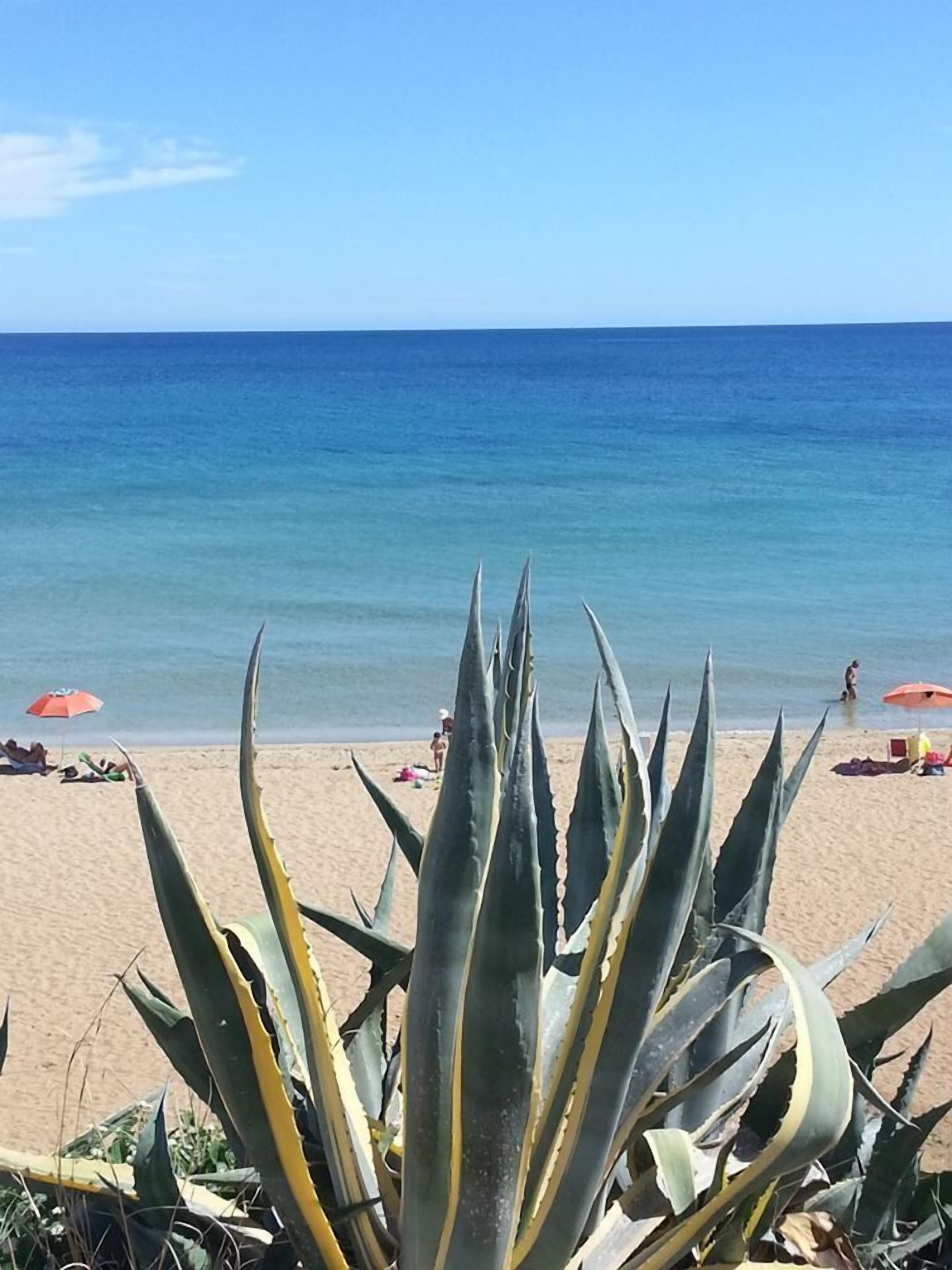 Privat strand i nærheten, strandbuss og parasoller