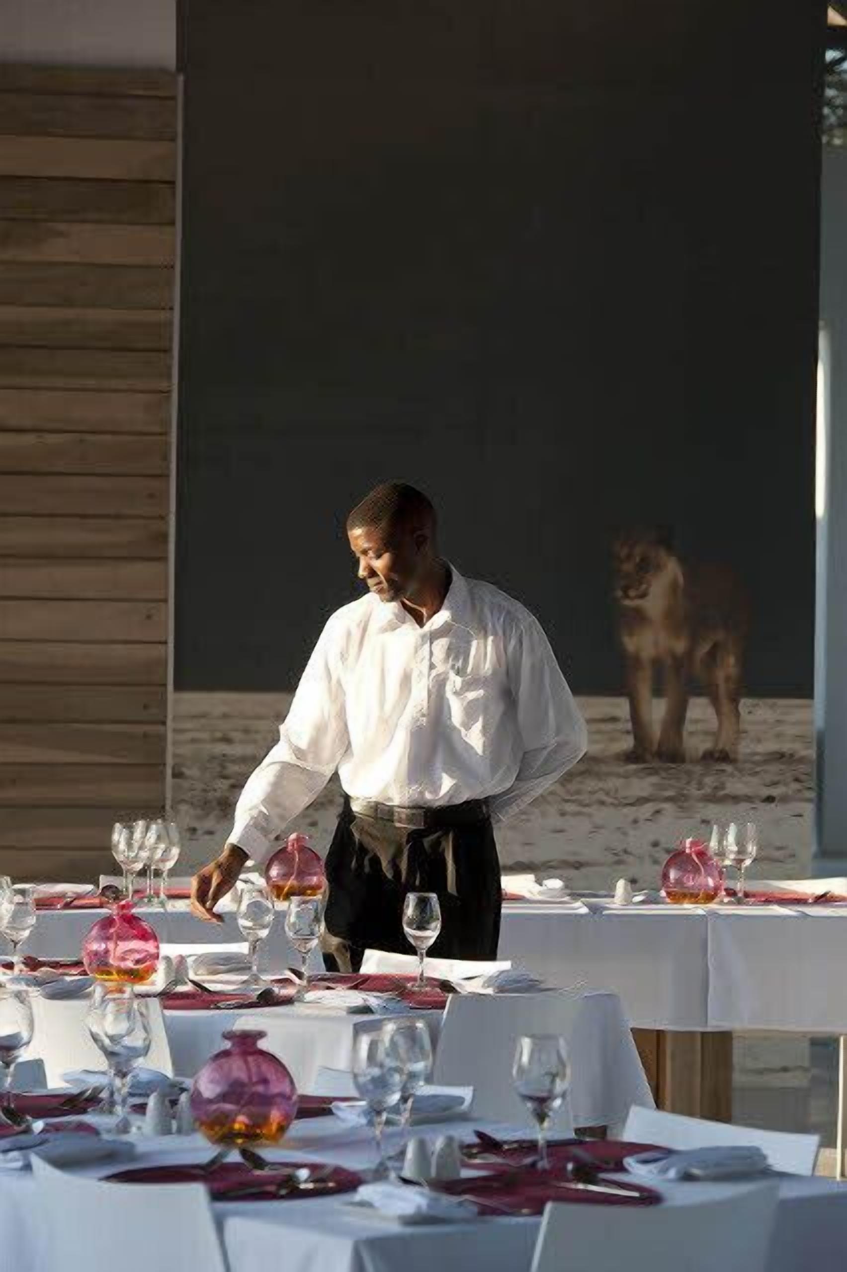 En matsal med dukade bord, en servitör i uniform och en lejon i bakgrunden.