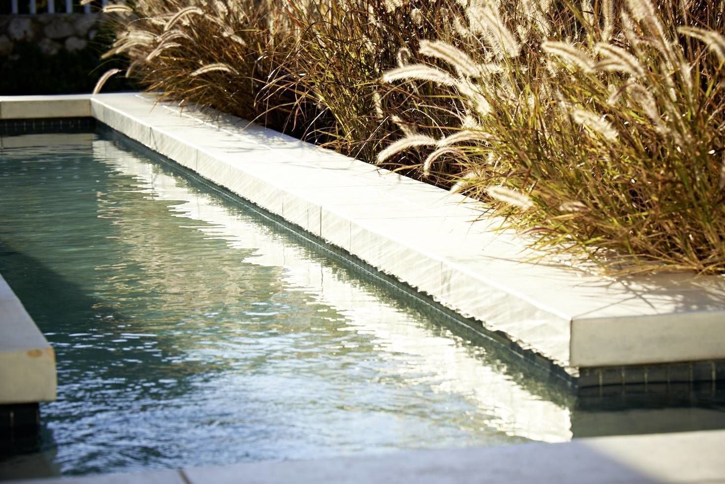 Una piscina con borde blanco y hierba alta alrededor.