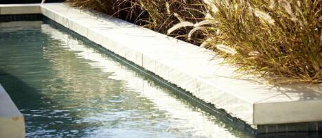 Una piscina con borde blanco y hierba alta alrededor.