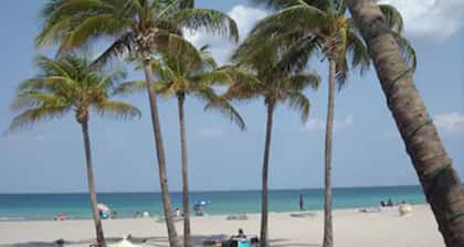 The Diane Oceanfront Suites