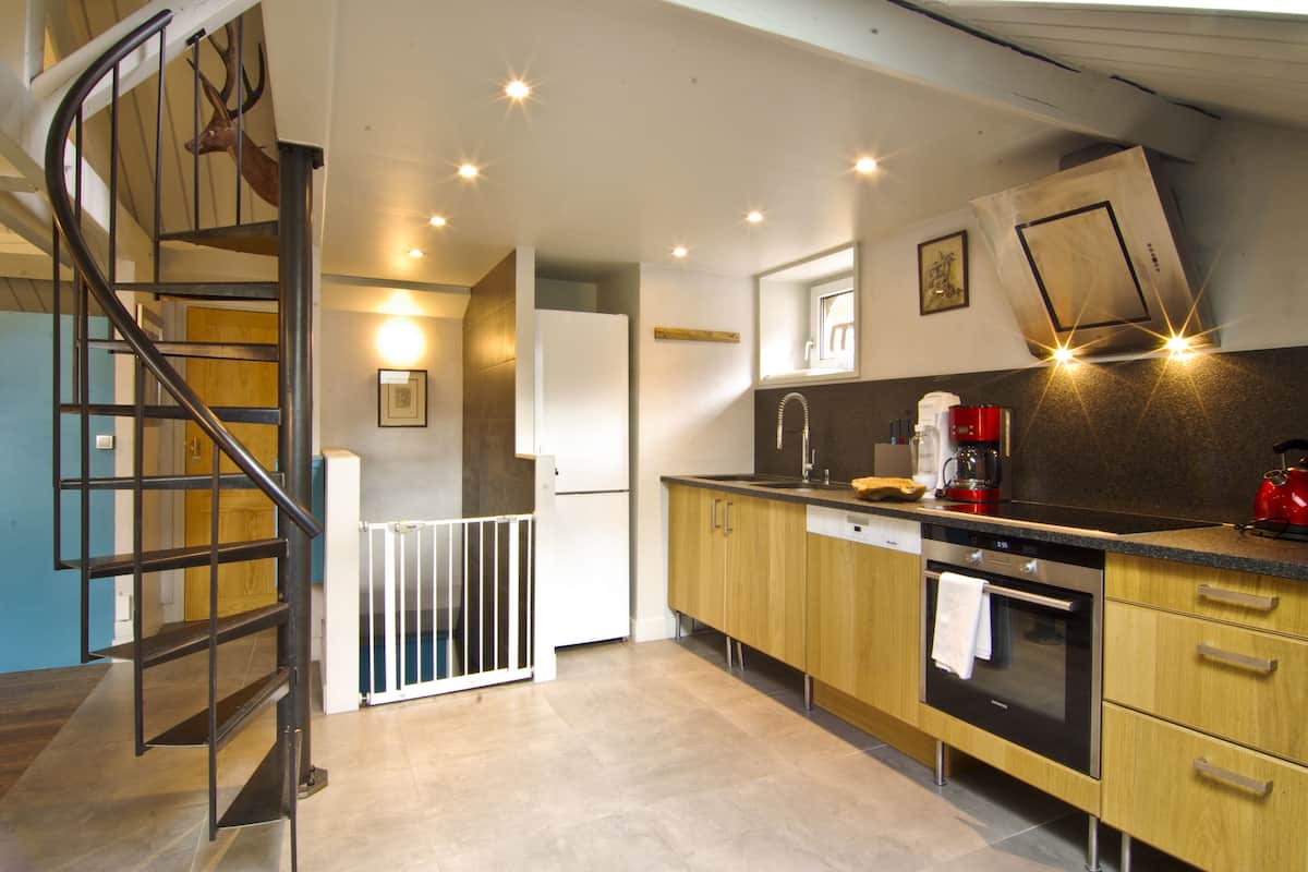 deluxe apartment, 4 bedrooms | private kitchen