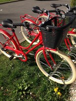 Una bicicleta roja con una cesta en el frente, estacionada sobre césped.