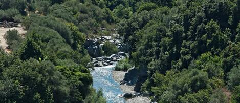 A river flowing through a densely wooded area with a bridge in the background.