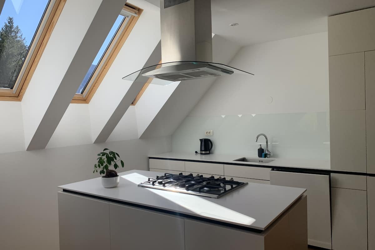 panoramic penthouse, 1 bedroom | private kitchen | fridge, electric kettle