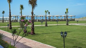 A well-maintained lawn with palm trees, a brick pathway, and beach umbrellas.