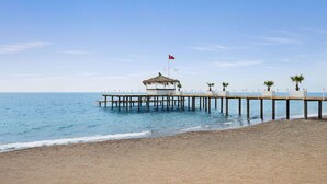 A beach with a wooden pier extending into the sea, a small hut with a flag, and palm trees along the pier.
