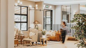 A modern living room with a sofa, chairs, a coffee table, and a potted plant. - Midgard (Okahandja)