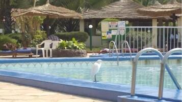 Una piscina al aire libre, sombrillas, sillones reclinables de piscina