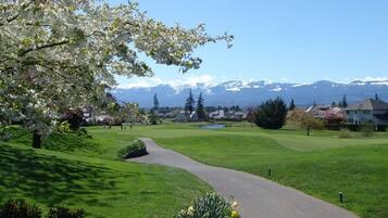A park with a paved path, green grass, and flowering trees.