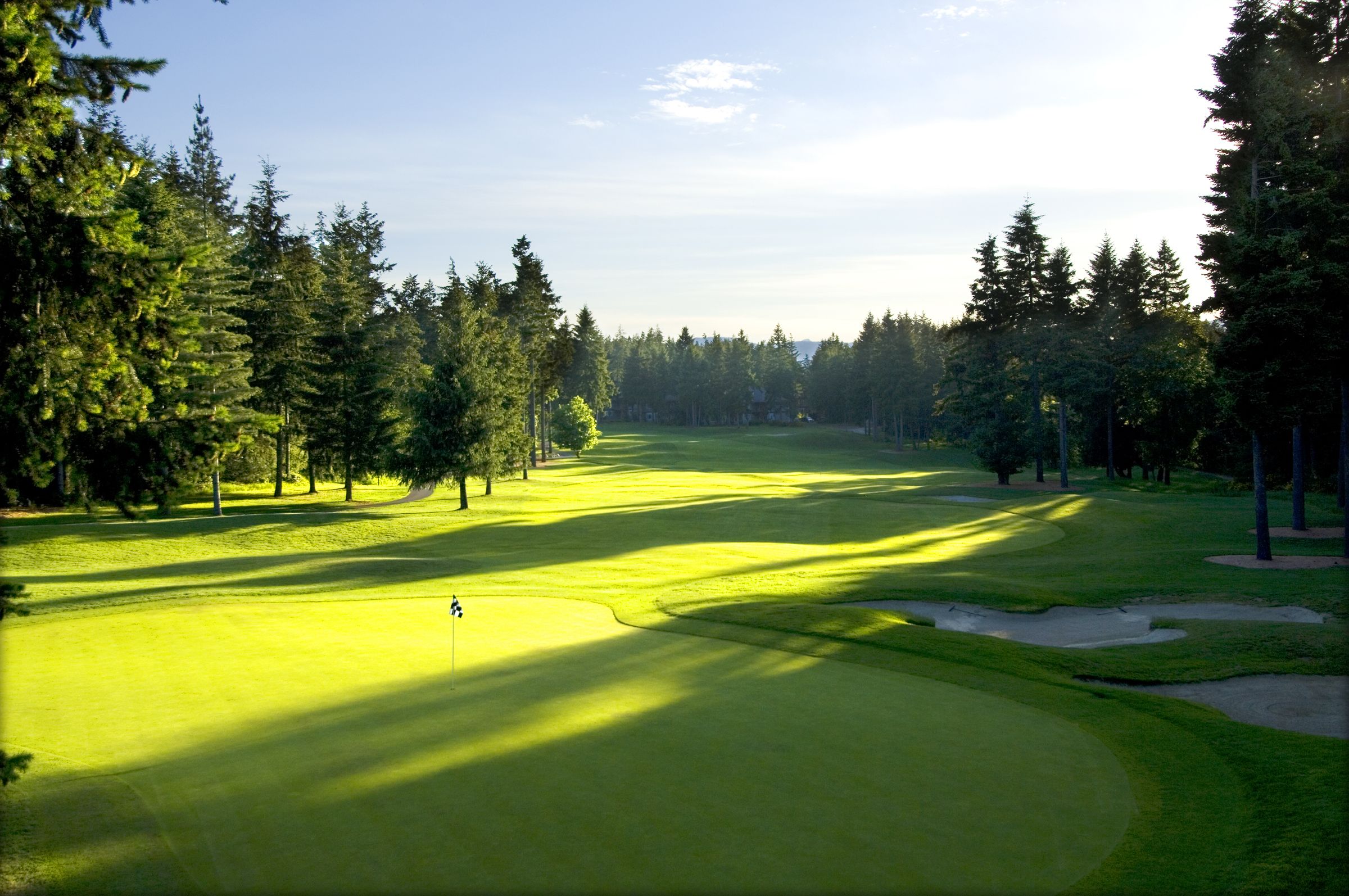 Un campo de golf con un mástil y bandera, rodeado de árboles frondosos y cielos despejados.